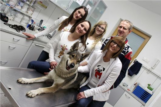 Team Tierarztpraxis Mertlitsch GmbH aus Magdalensberg
